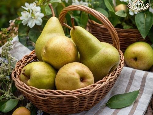 Best Ways to Store Pear Fruit