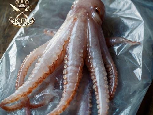 Optimal Storage Methods for Maintaining Squid (Calamari) Freshness